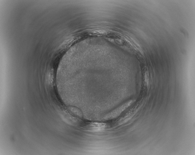 X0000115370328200912011138