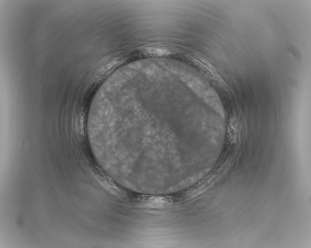 X0000115370330200912011138