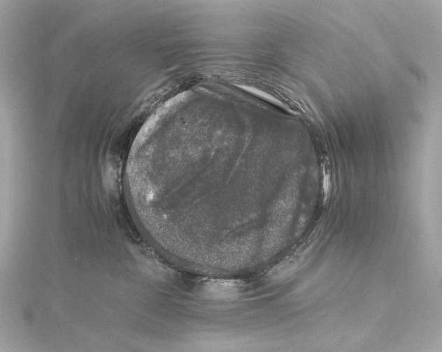 X0000115370332200912011138