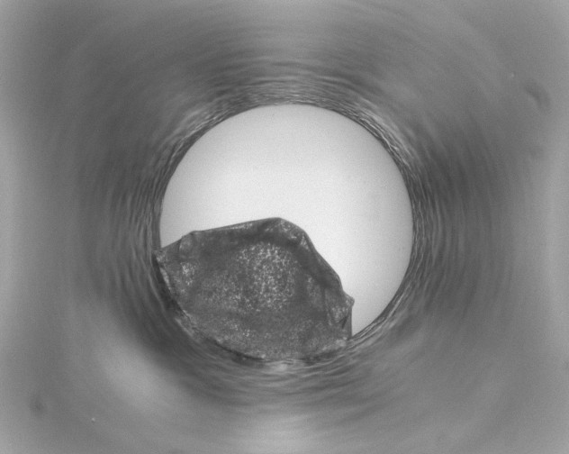 X0000115370333200912011138