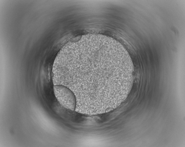 X0000115370334200912011138