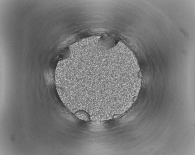 X0000115370335200912011138