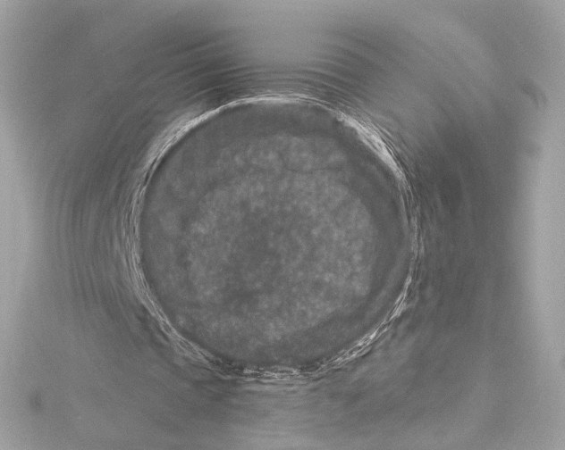 X0000115370337200912011138