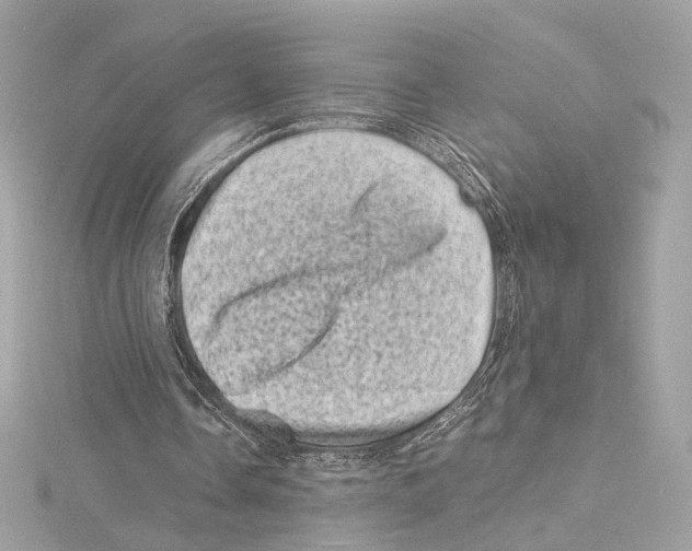 X0000115370338200912011138