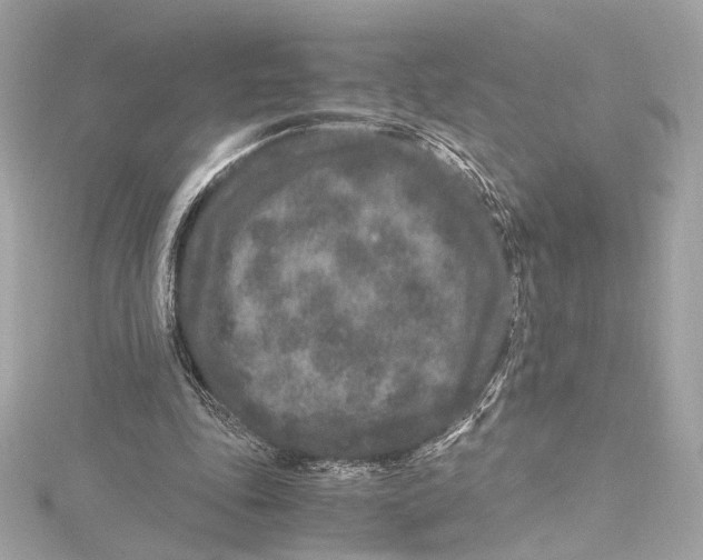 X0000115370343200912011138