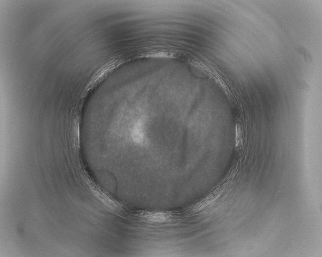 X0000115370349200912011138