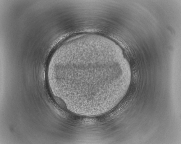 X0000115370350200912011138