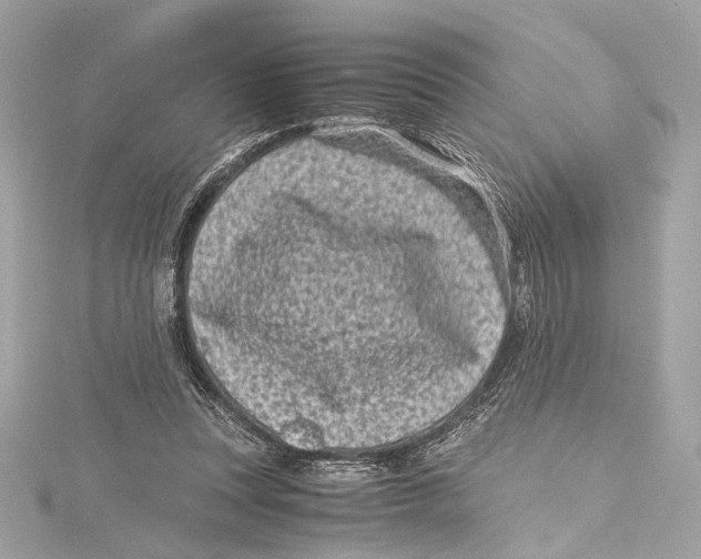 X0000115370351200912011138