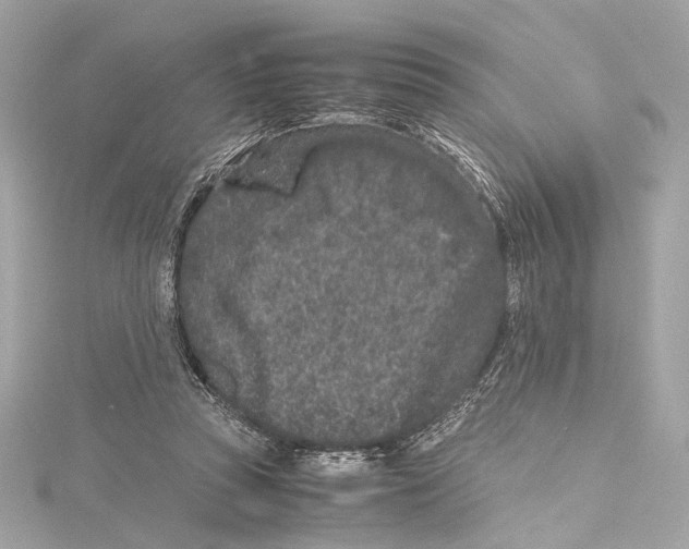 X0000115370353200912011138