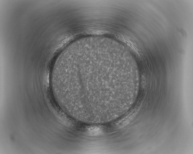 X0000115370358200912011138