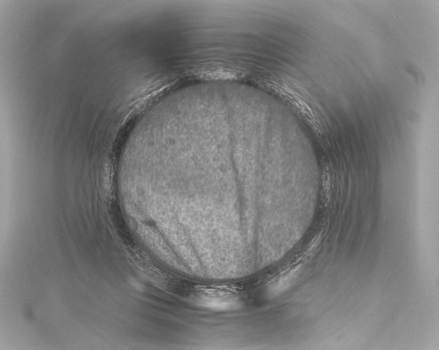 X0000115370359200912011138