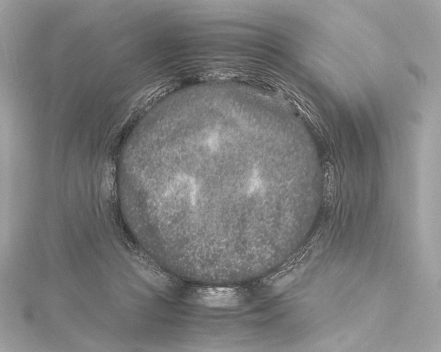 X0000115370361200912011138