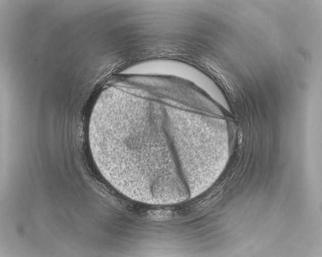 X0000115370362200912011138