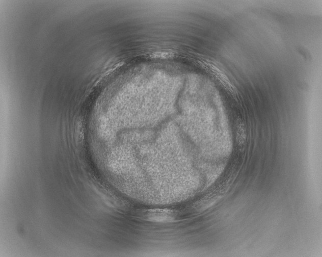 X0000115370363200912011138