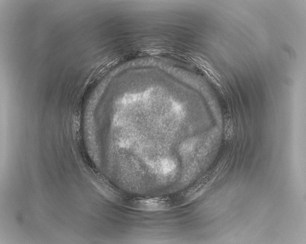 X0000115370365200912011138