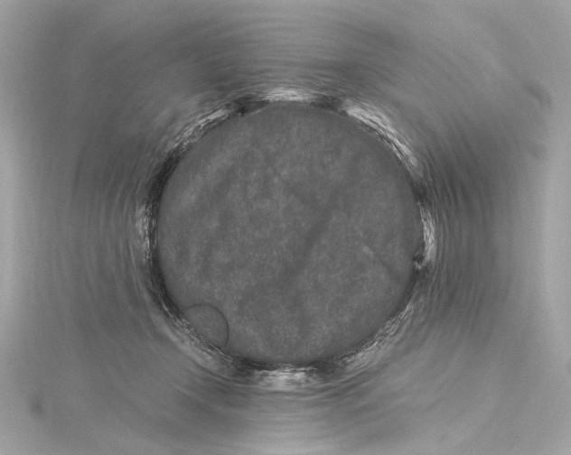 X0000115370366200912011138