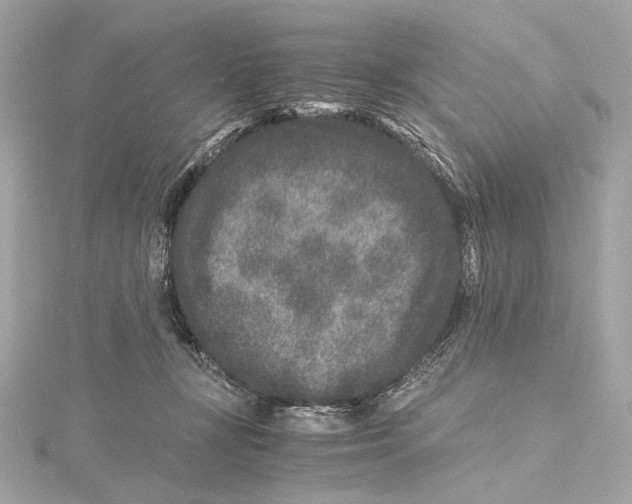 X0000115370367200912011138