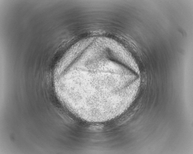 X0000115370369200912011138