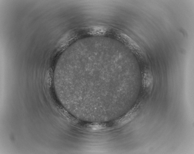 X0000115370370200912011138