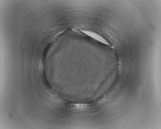 X0000115370371200912011138