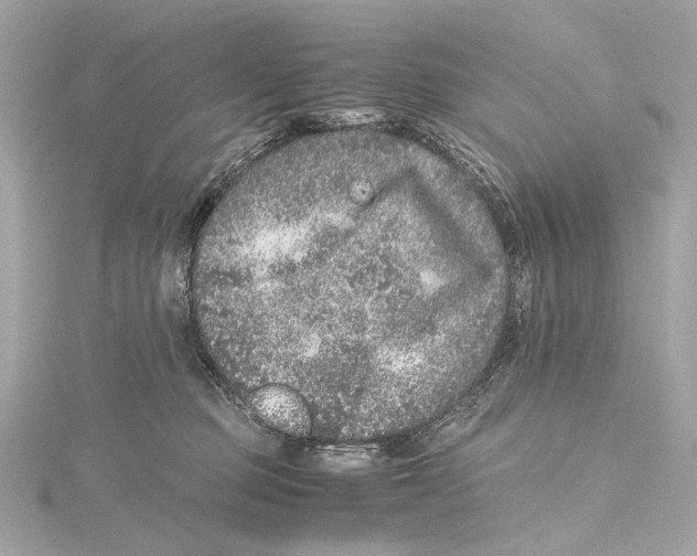 X0000115370373200912011138