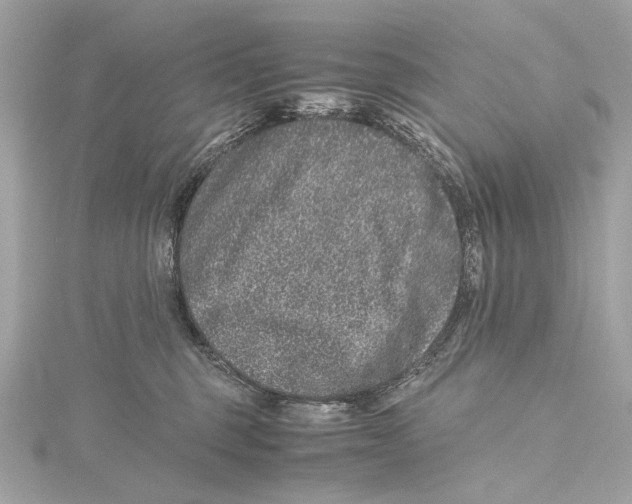 X0000115370375200912011138