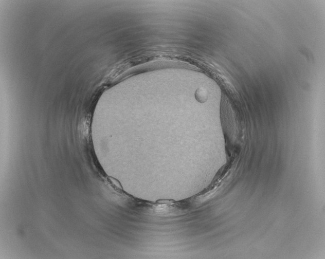 X0000115370382200912011138