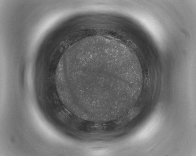 X0000115370383200912011138