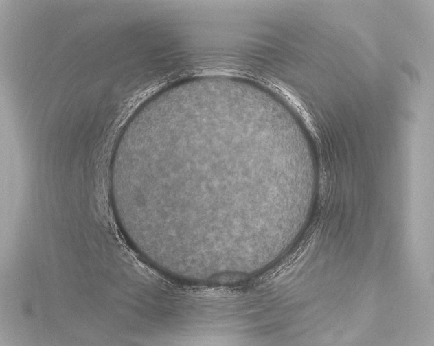 X0000115370385200912011138