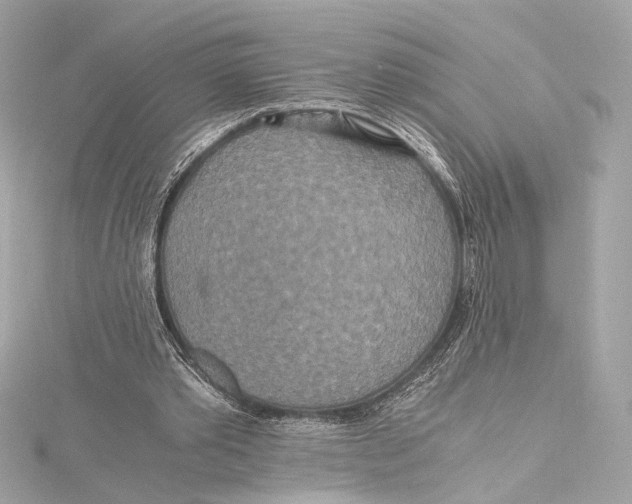 X0000115370389200912011138