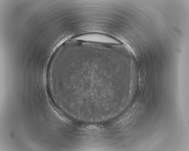 X0000115370390200912011138