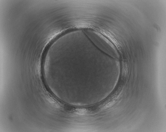 X0000115370391200912011138