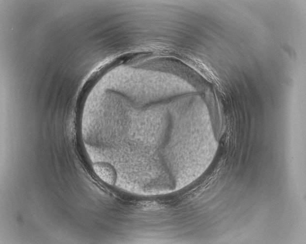 X0000115370392200912011138