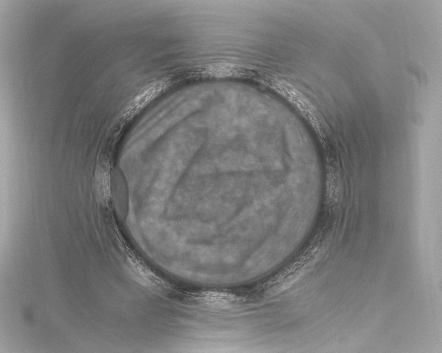 X0000115370393200912011138