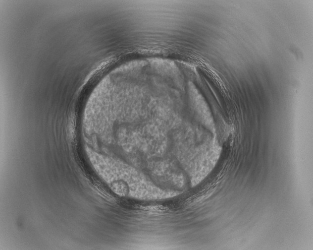 X0000115370396200912011137