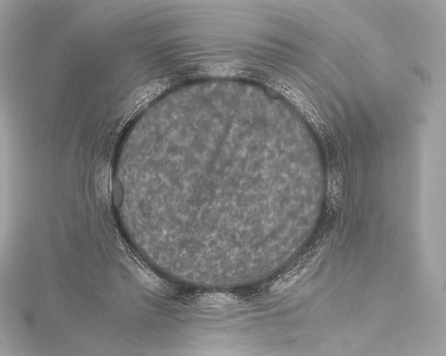 X0000115370397200912011137