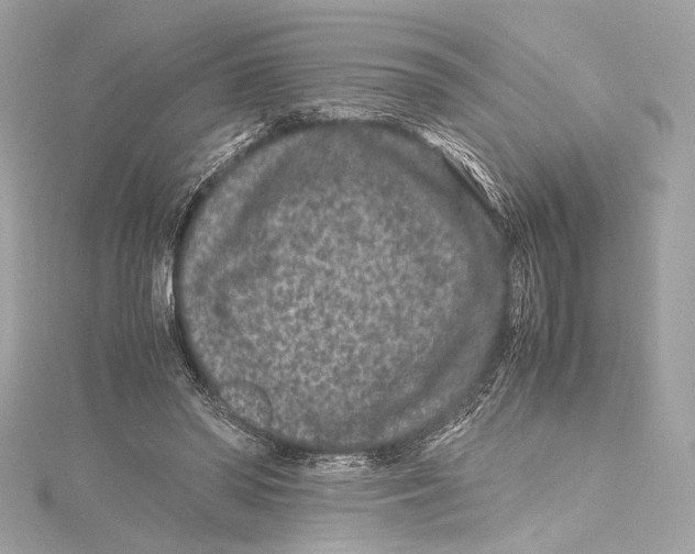 X0000115370398200912011137