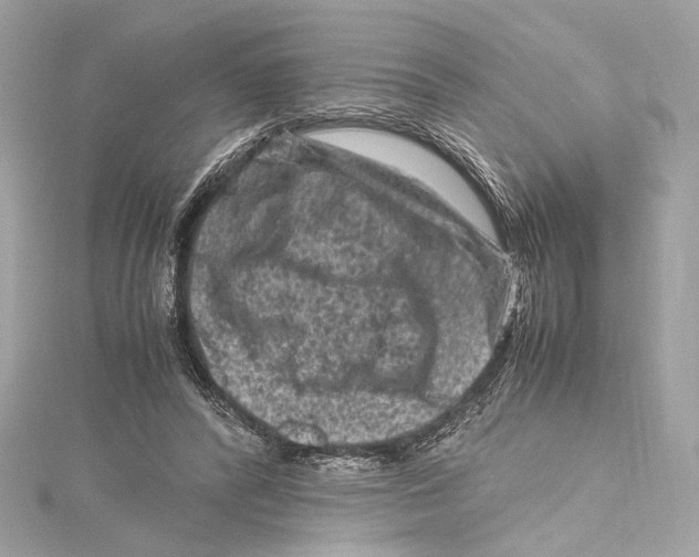 X0000115370400200912011137