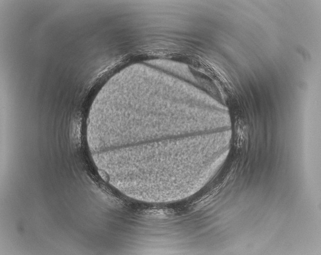 X0000115370404200912011137