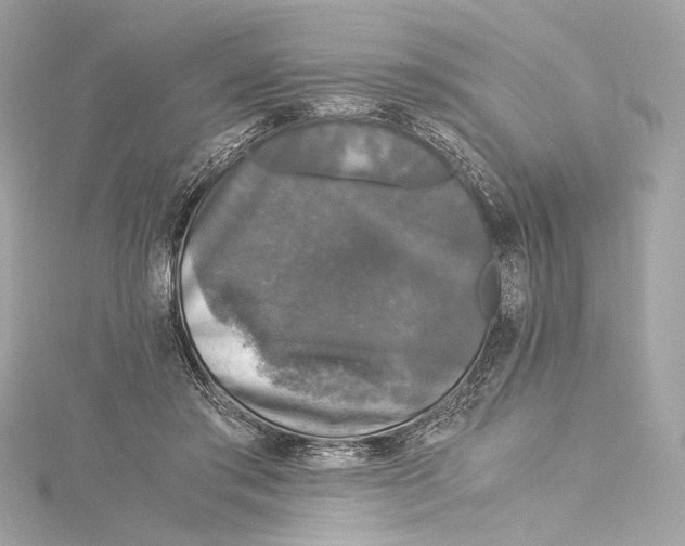 X0000115370405200912011137