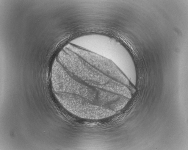 X0000115370407200912011137