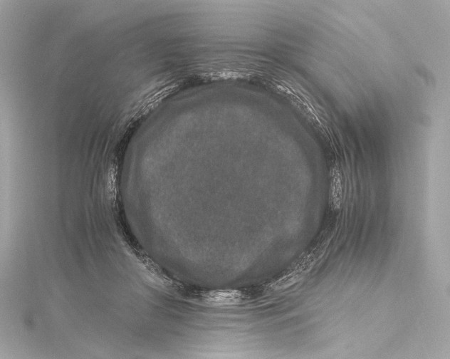 X0000115370410200912011137