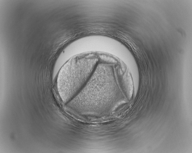 X0000115370411200912011137