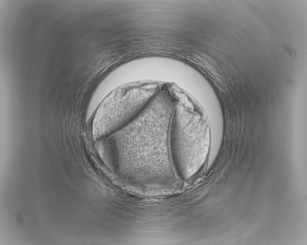 X0000115370415200912011137