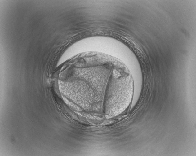 X0000115370417200912011137