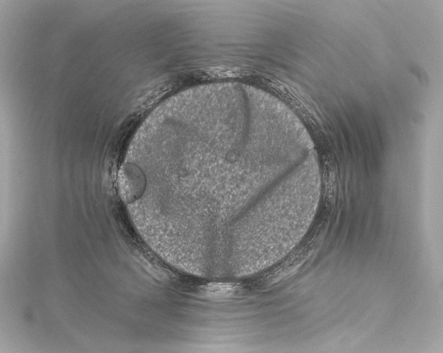 X0000115370418200912011137