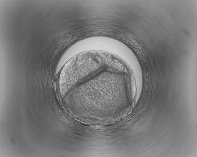 X0000115370419200912011137