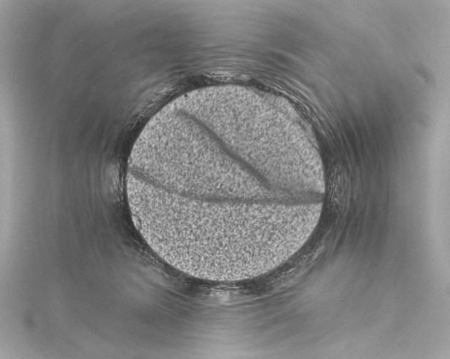 X0000115370420200912011137