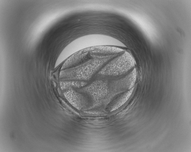 X0000115370431200912011137