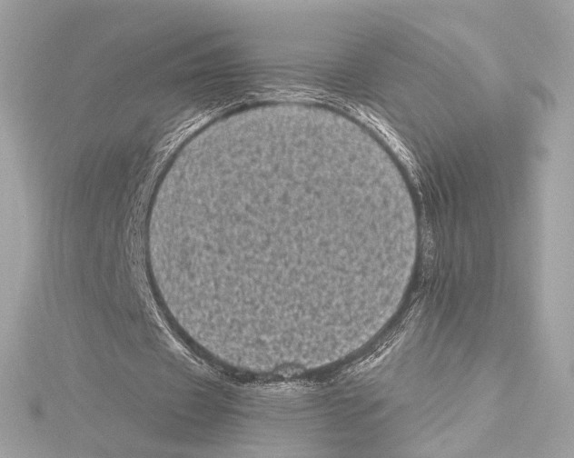 X0000115370433200912011136